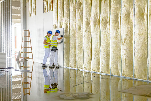 Best Insulation Maintenance and Repair in Somers Point, NJ